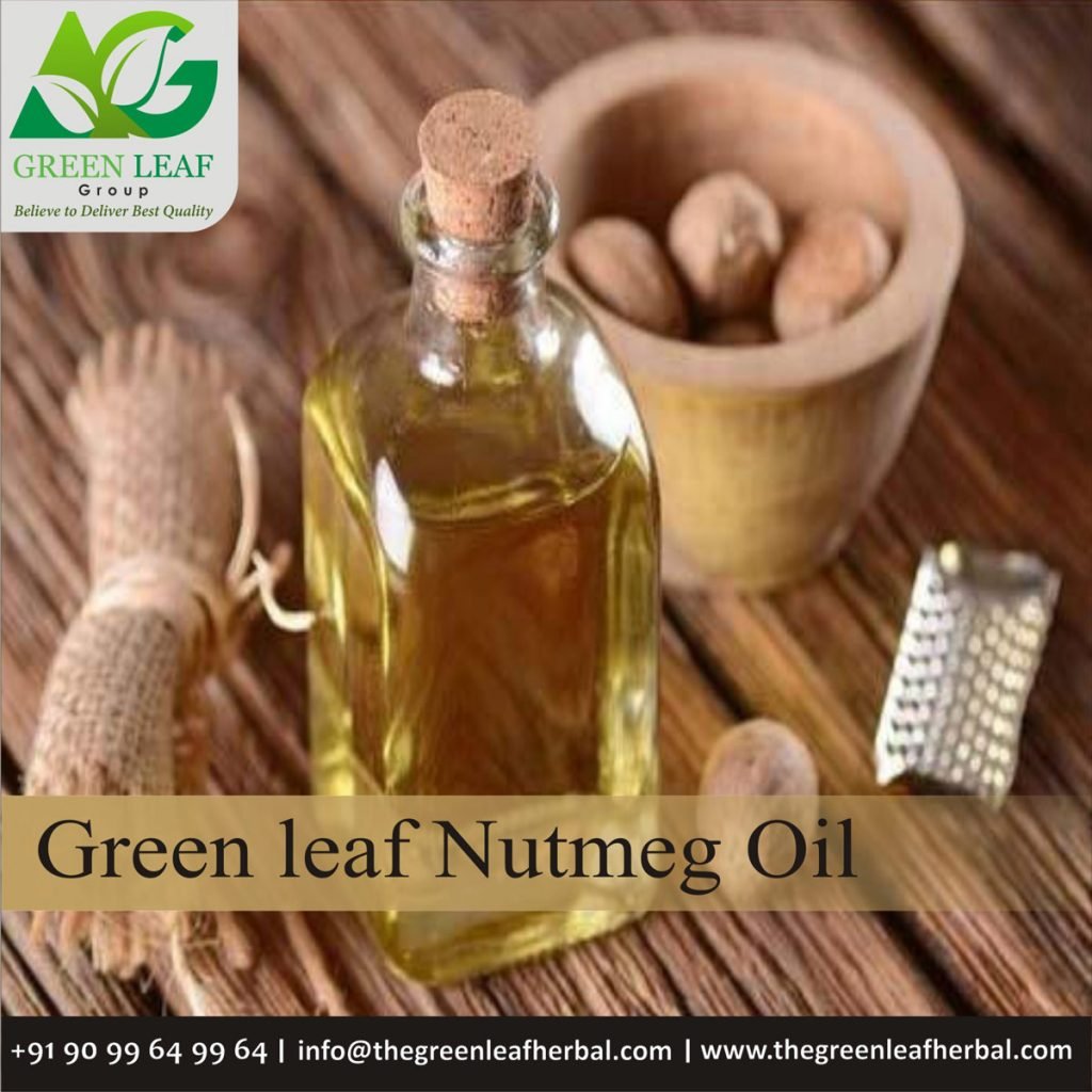 Nutmeg Oil - The Green Leaf Herbal